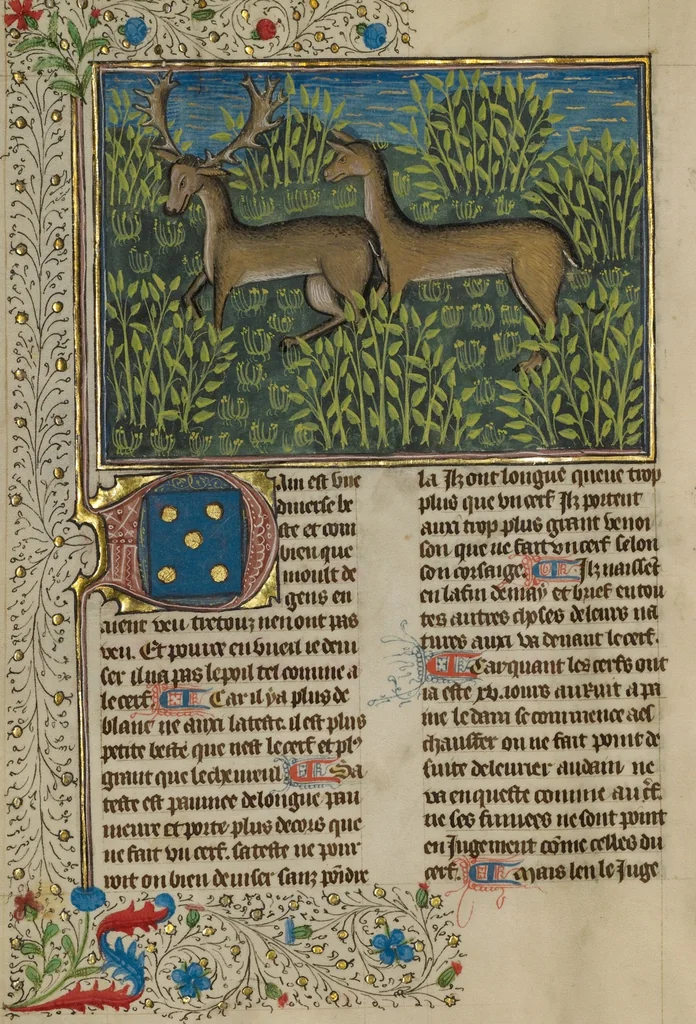 An illustration from Livre de la Chasse, 1430, leaf 53