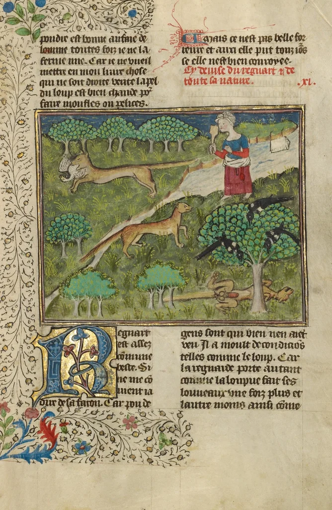 An illustration from Livre de la Chasse, 1430, leaf 54