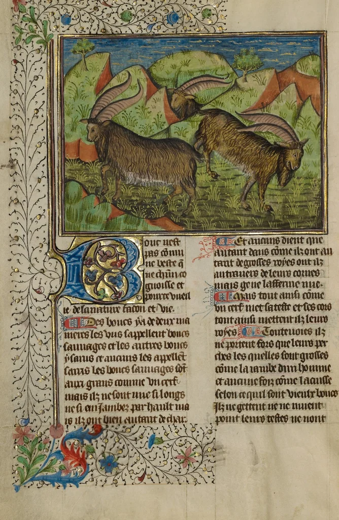 An illustration from Livre de la Chasse, 1430, leaf 58