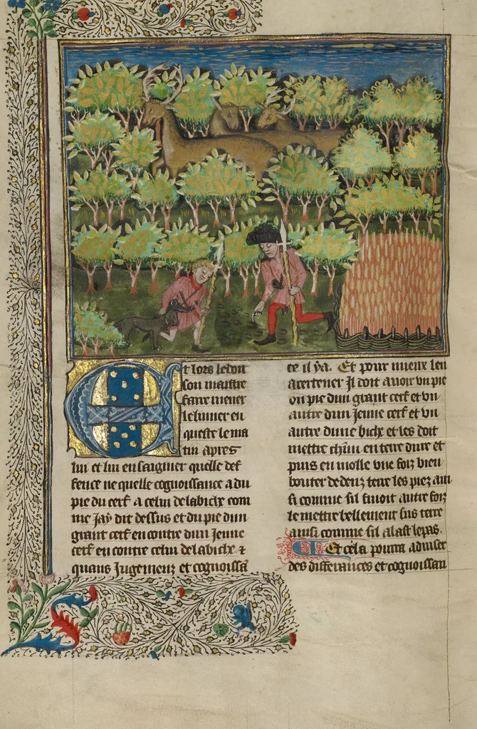 An illustration from Livre de la Chasse, 1430, leaf 64