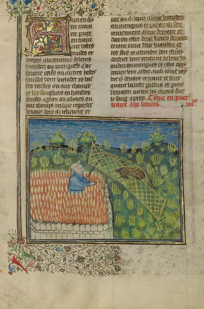 An illustration from Livre de la Chasse, 1430, leaf 69