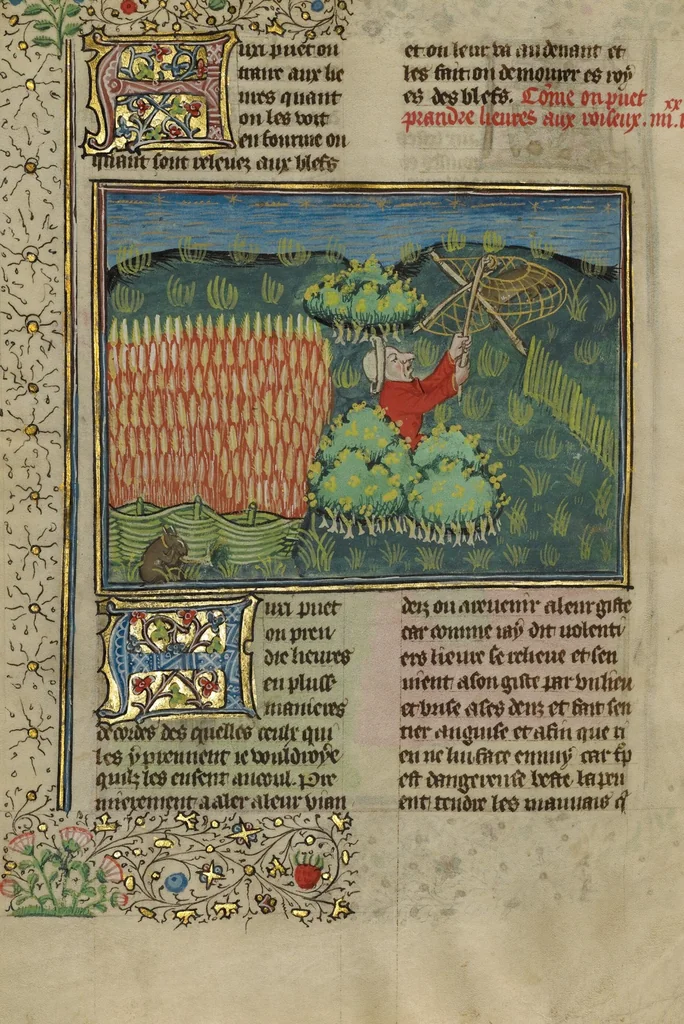 An illustration from Livre de la Chasse, 1430, leaf 7