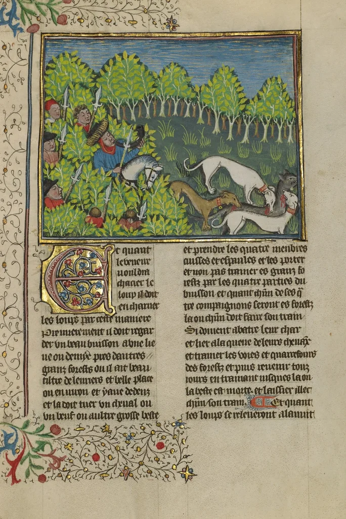 An illustration from Livre de la Chasse, 1430, leaf 75