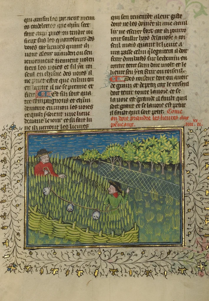 An illustration from Livre de la Chasse, 1430, leaf 77