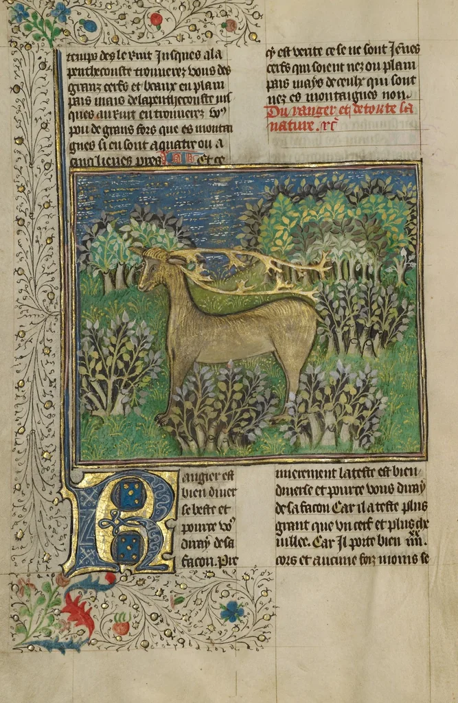 An illustration from Livre de la Chasse, 1430, leaf 83