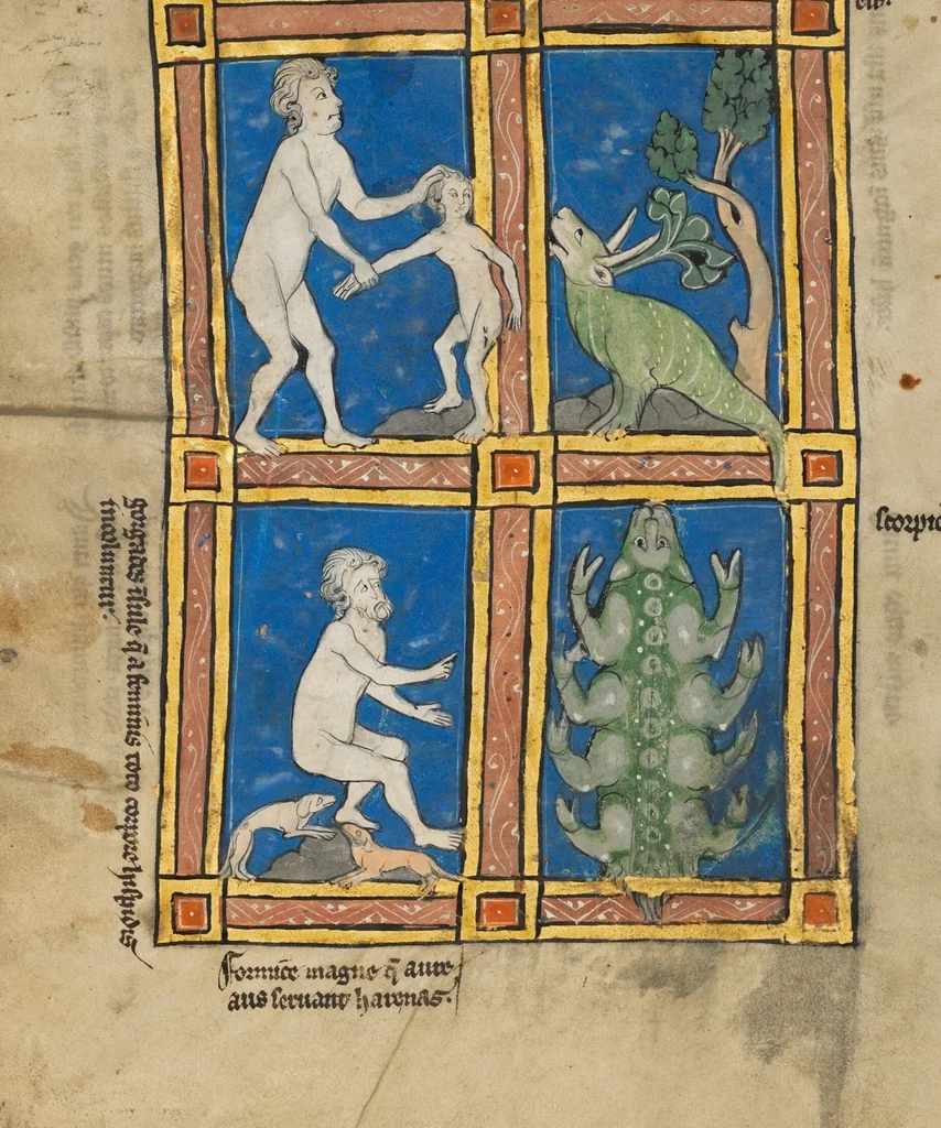 An illustration from De Natura Avium; De Pastoribus et Ovibus; Bestiarium; Mirabilia Mundi; Philosophia Mundi; On the Soul, 1277, leaf 84