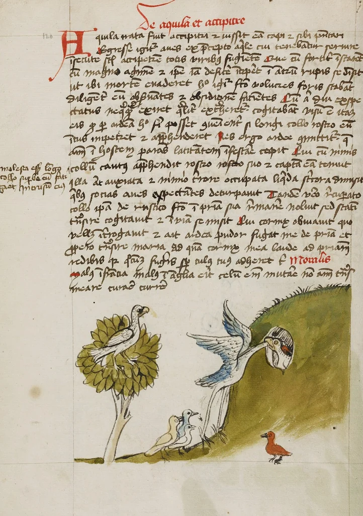 An illustration from Fables; Exemplum de Tribus Latronibus; Defensio Curatorum Adversus Fratres Mendicantes, 1357; De Balsamo (Ch. 7 of De Mirabilibus); homilies on the Gospel of Luke; De septem sacramentis; and others, 1450, leaf 88