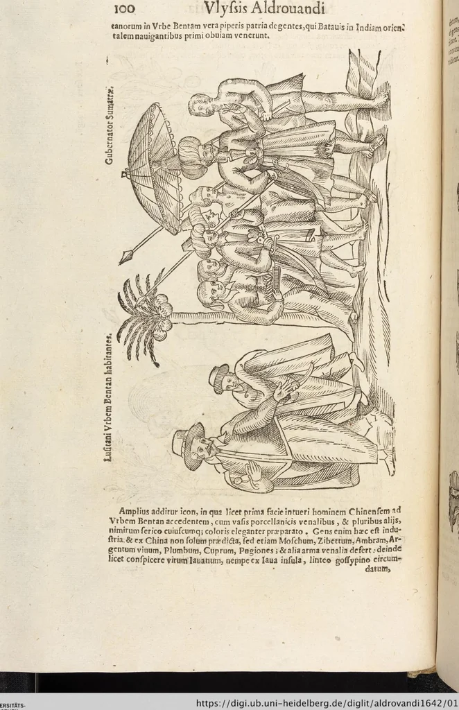 An illustration from Vlyssis Aldrovandi Patricii Bononiensis Monstrorvm Historia: cum Indice copiosissimo, 1642, leaf 118