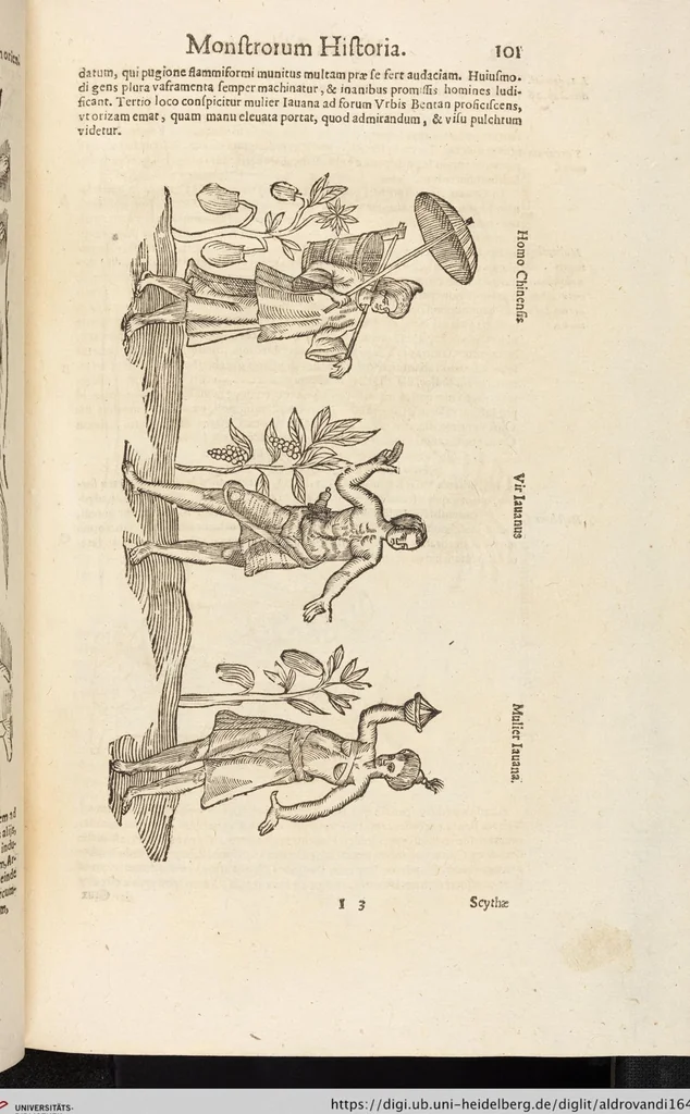 An illustration from Vlyssis Aldrovandi Patricii Bononiensis Monstrorvm Historia: cum Indice copiosissimo, 1642, leaf 119
