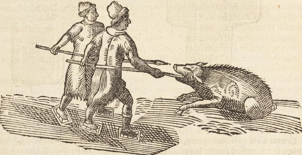An illustration from Vlyssis Aldrovandi Patricii Bononiensis Monstrorvm Historia: cum Indice copiosissimo, 1642, leaf 122