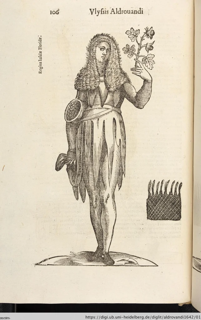 An illustration from Vlyssis Aldrovandi Patricii Bononiensis Monstrorvm Historia: cum Indice copiosissimo, 1642, leaf 124