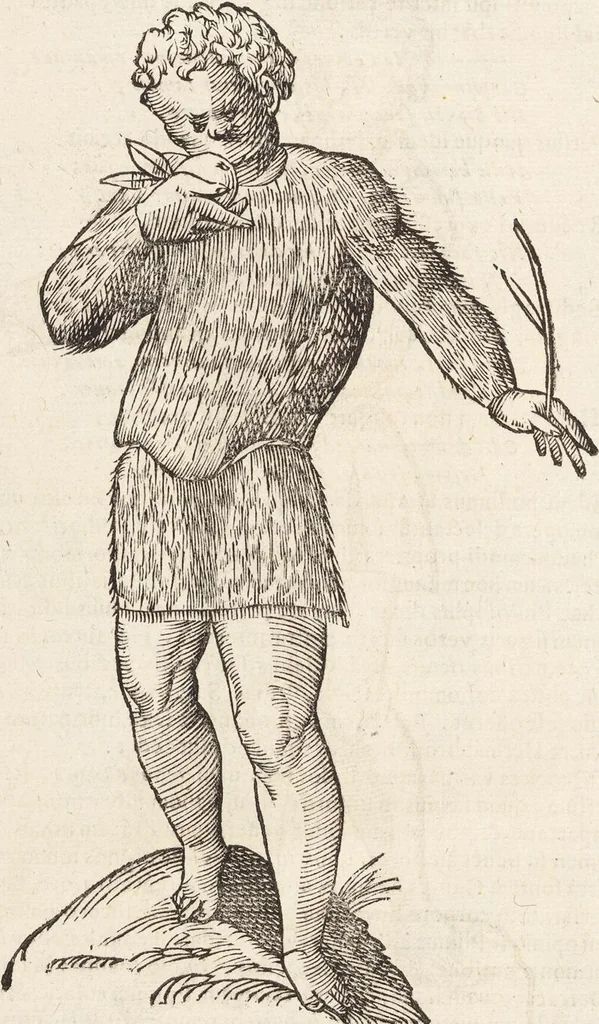 An illustration from Vlyssis Aldrovandi Patricii Bononiensis Monstrorvm Historia: cum Indice copiosissimo, 1642, leaf 24