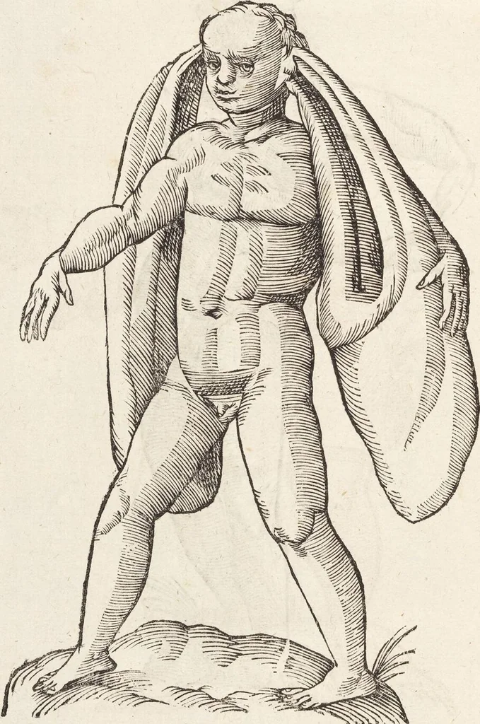 An illustration from Vlyssis Aldrovandi Patricii Bononiensis Monstrorvm Historia: cum Indice copiosissimo, 1642, leaf 28