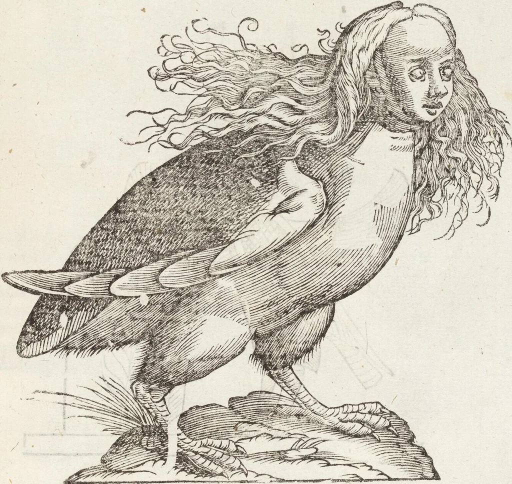 An illustration from Vlyssis Aldrovandi Patricii Bononiensis Monstrorvm Historia: cum Indice copiosissimo, 1642, leaf 355