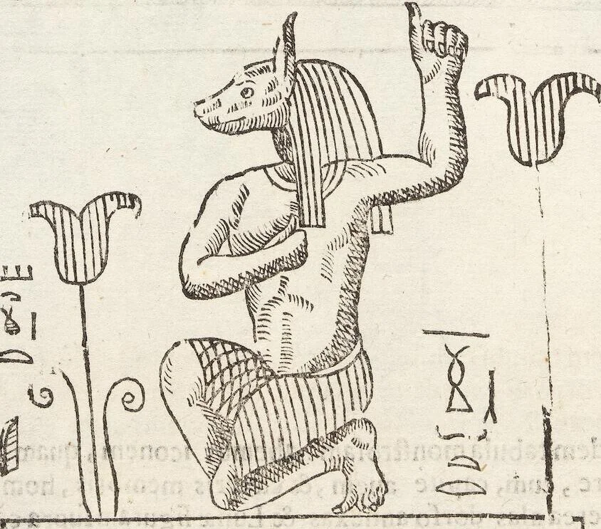 An illustration from Vlyssis Aldrovandi Patricii Bononiensis Monstrorvm Historia: cum Indice copiosissimo, 1642, leaf 362