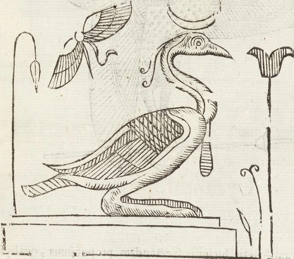 An illustration from Vlyssis Aldrovandi Patricii Bononiensis Monstrorvm Historia: cum Indice copiosissimo, 1642, leaf 363