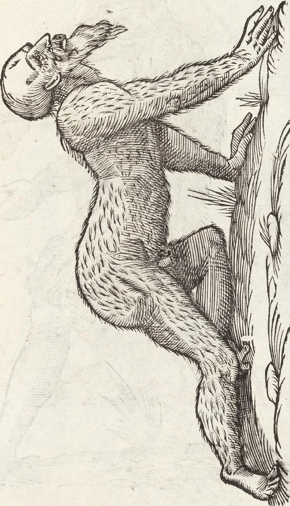 An illustration from Vlyssis Aldrovandi Patricii Bononiensis Monstrorvm Historia: cum Indice copiosissimo, 1642, leaf 39