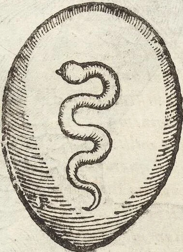 An illustration from Vlyssis Aldrovandi Patricii Bononiensis Monstrorvm Historia: cum Indice copiosissimo, 1642, leaf 405