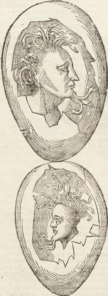 An illustration from Vlyssis Aldrovandi Patricii Bononiensis Monstrorvm Historia: cum Indice copiosissimo, 1642, leaf 408