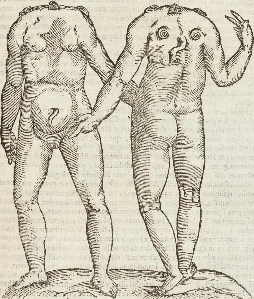 An illustration from Vlyssis Aldrovandi Patricii Bononiensis Monstrorvm Historia: cum Indice copiosissimo, 1642, leaf 419