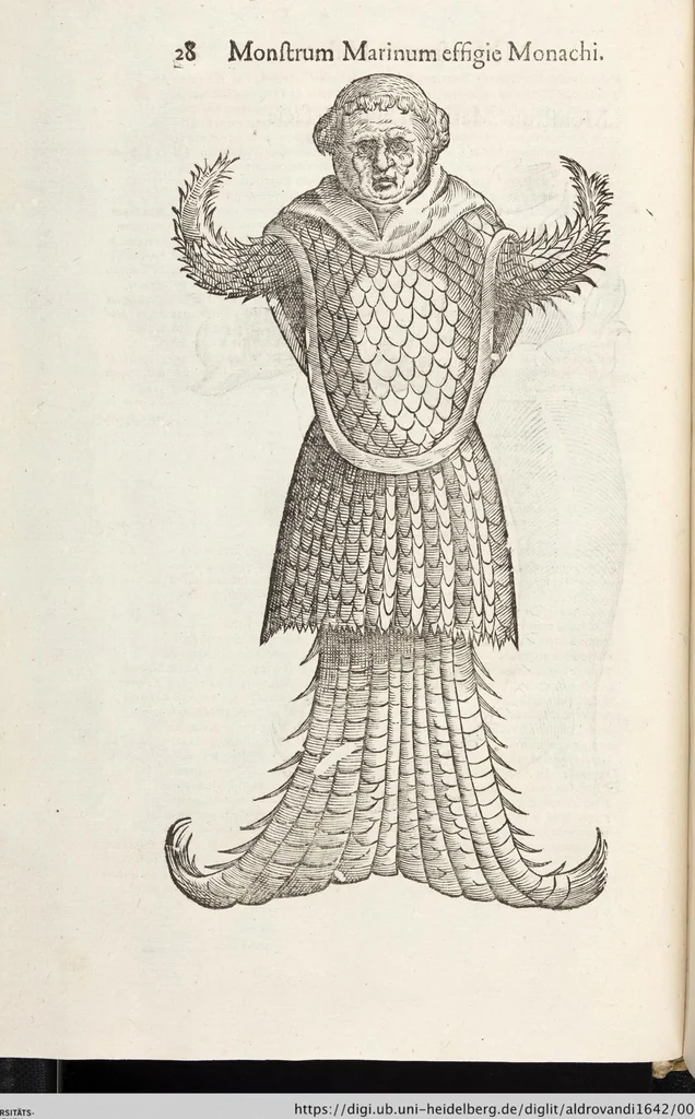 An illustration from Vlyssis Aldrovandi Patricii Bononiensis Monstrorvm Historia: cum Indice copiosissimo, 1642, leaf 46