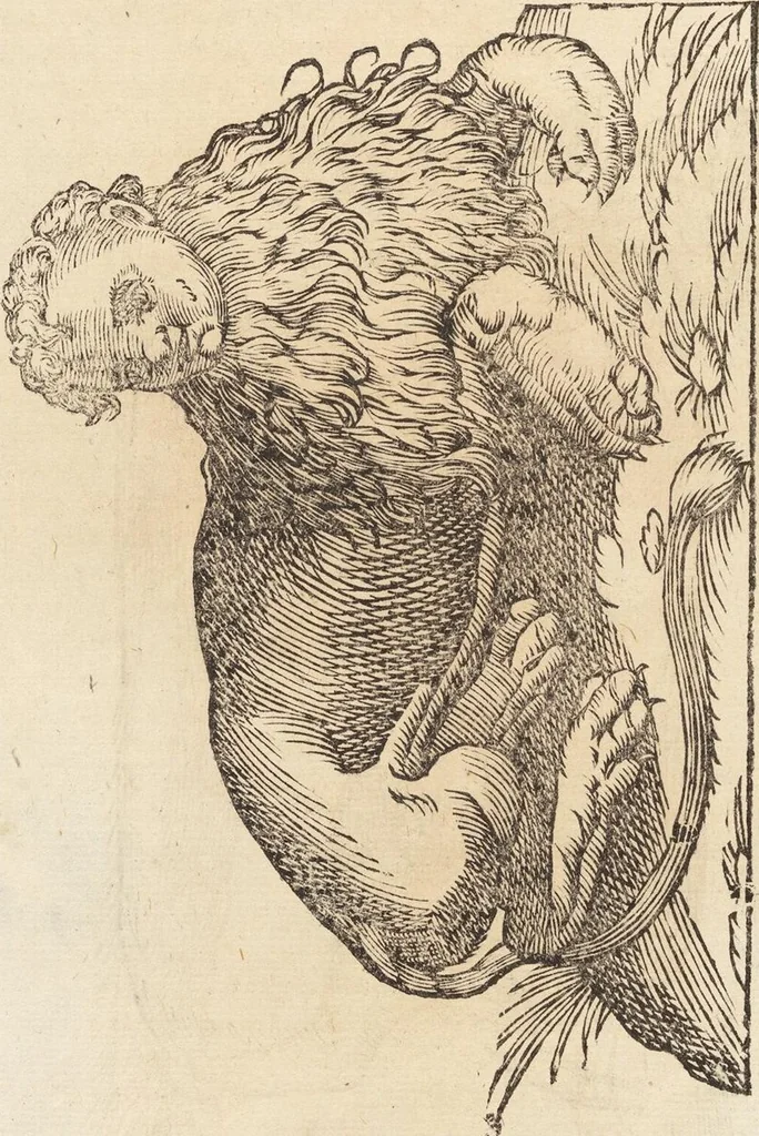 An illustration from Vlyssis Aldrovandi Patricii Bononiensis Monstrorvm Historia: cum Indice copiosissimo, 1642, leaf 460