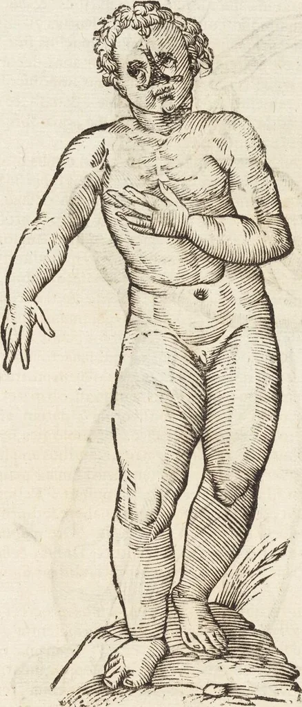 An illustration from Vlyssis Aldrovandi Patricii Bononiensis Monstrorvm Historia: cum Indice copiosissimo, 1642, leaf 473