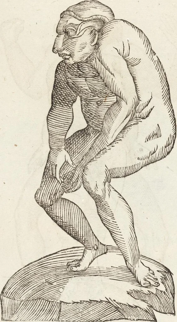 An illustration from Vlyssis Aldrovandi Patricii Bononiensis Monstrorvm Historia: cum Indice copiosissimo, 1642, leaf 483
