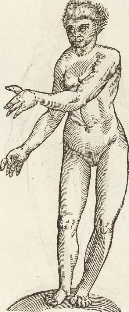 An illustration from Vlyssis Aldrovandi Patricii Bononiensis Monstrorvm Historia: cum Indice copiosissimo, 1642, leaf 487