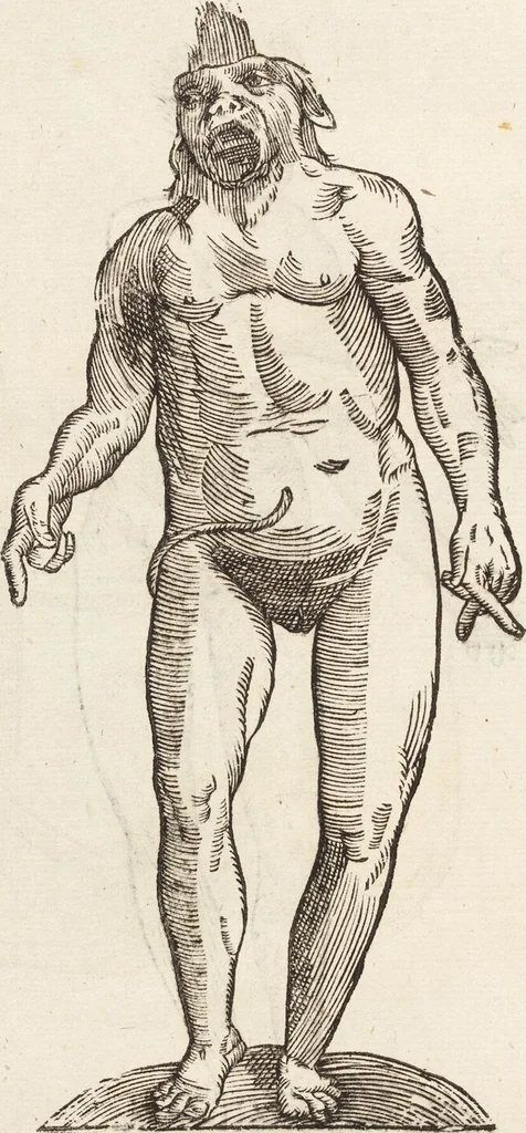 An illustration from Vlyssis Aldrovandi Patricii Bononiensis Monstrorvm Historia: cum Indice copiosissimo, 1642, leaf 488