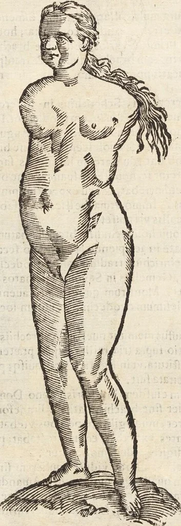 An illustration from Vlyssis Aldrovandi Patricii Bononiensis Monstrorvm Historia: cum Indice copiosissimo, 1642, leaf 494