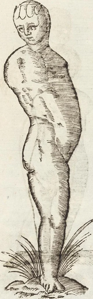 An illustration from Vlyssis Aldrovandi Patricii Bononiensis Monstrorvm Historia: cum Indice copiosissimo, 1642, leaf 495