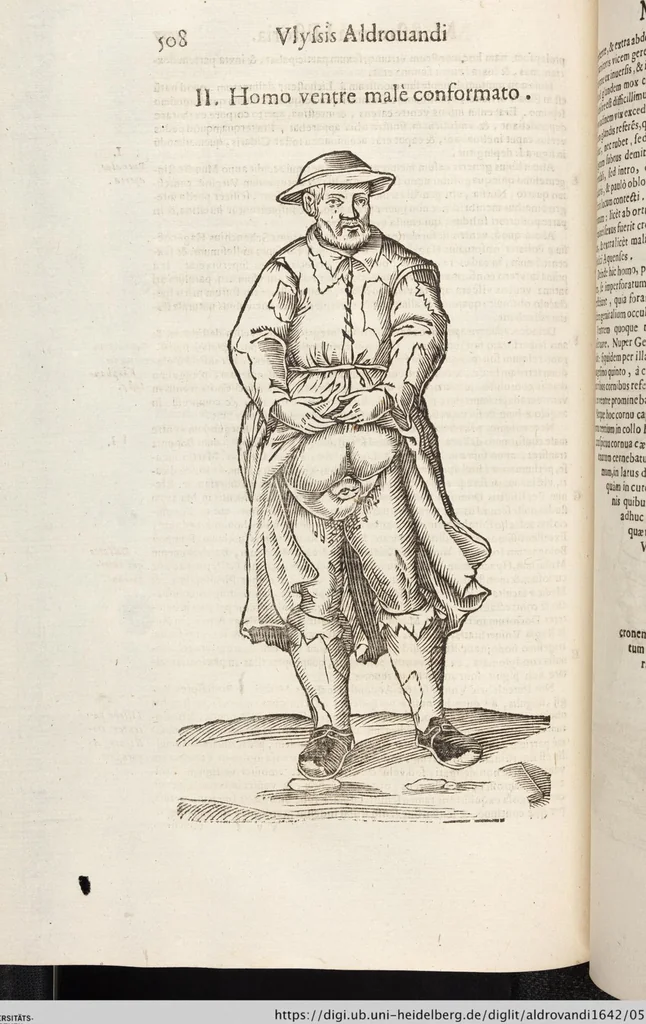 An illustration from Vlyssis Aldrovandi Patricii Bononiensis Monstrorvm Historia: cum Indice copiosissimo, 1642, leaf 526