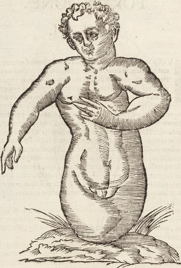 An illustration from Vlyssis Aldrovandi Patricii Bononiensis Monstrorvm Historia: cum Indice copiosissimo, 1642, leaf 538