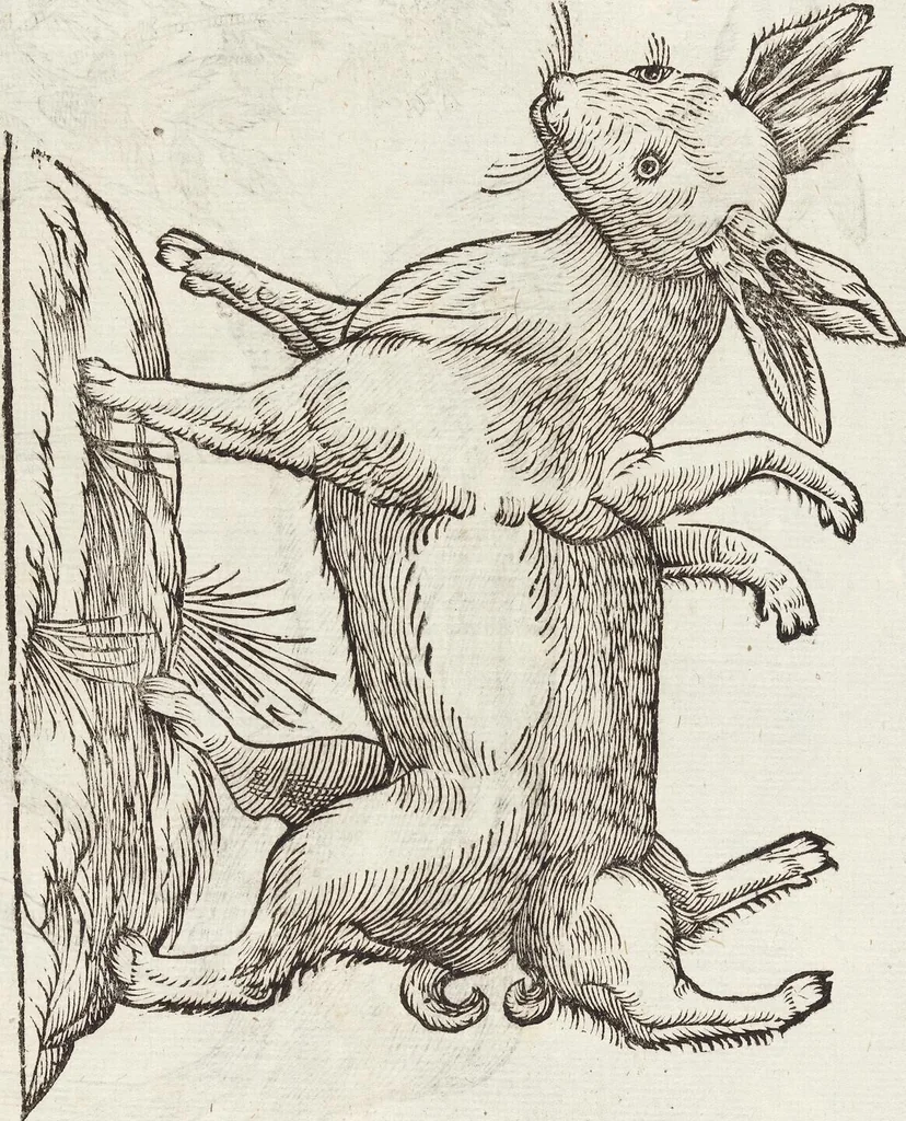 An illustration from Vlyssis Aldrovandi Patricii Bononiensis Monstrorvm Historia: cum Indice copiosissimo, 1642, leaf 565