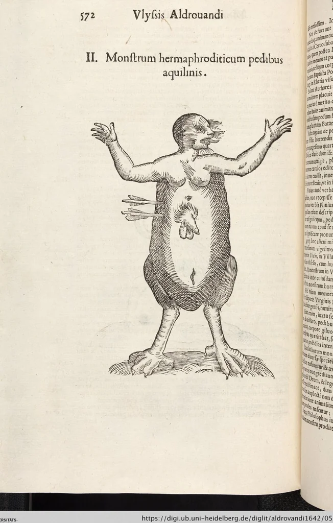 An illustration from Vlyssis Aldrovandi Patricii Bononiensis Monstrorvm Historia: cum Indice copiosissimo, 1642, leaf 590