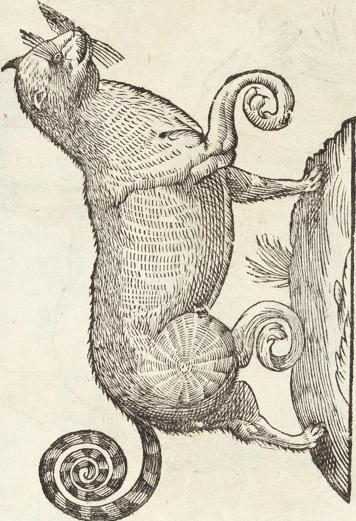 An illustration from Vlyssis Aldrovandi Patricii Bononiensis Monstrorvm Historia: cum Indice copiosissimo, 1642, leaf 593