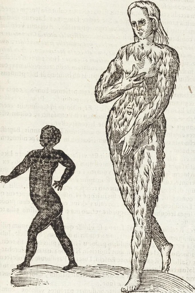 An illustration from Vlyssis Aldrovandi Patricii Bononiensis Monstrorvm Historia: cum Indice copiosissimo, 1642, leaf 597