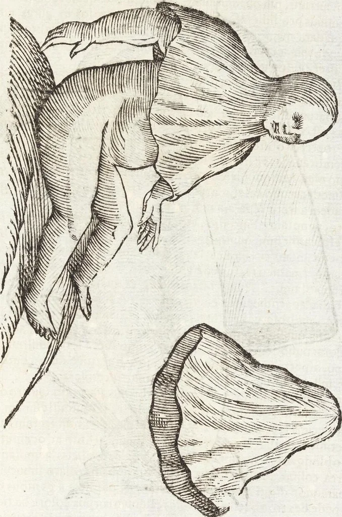 An illustration from Vlyssis Aldrovandi Patricii Bononiensis Monstrorvm Historia: cum Indice copiosissimo, 1642, leaf 601