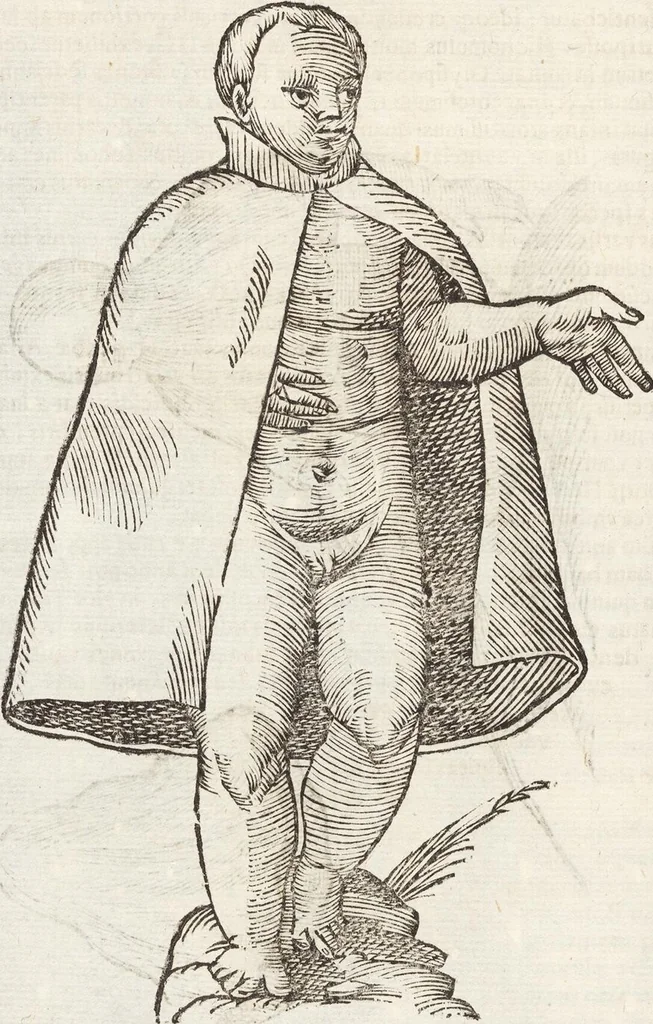 An illustration from Vlyssis Aldrovandi Patricii Bononiensis Monstrorvm Historia: cum Indice copiosissimo, 1642, leaf 602