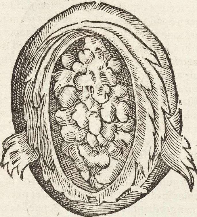 An illustration from Vlyssis Aldrovandi Patricii Bononiensis Monstrorvm Historia: cum Indice copiosissimo, 1642, leaf 63