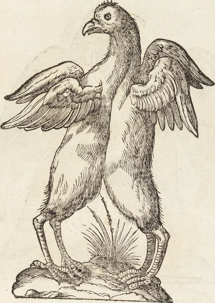 An illustration from Vlyssis Aldrovandi Patricii Bononiensis Monstrorvm Historia: cum Indice copiosissimo, 1642, leaf 643