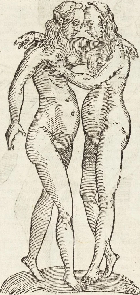 An illustration from Vlyssis Aldrovandi Patricii Bononiensis Monstrorvm Historia: cum Indice copiosissimo, 1642, leaf 653