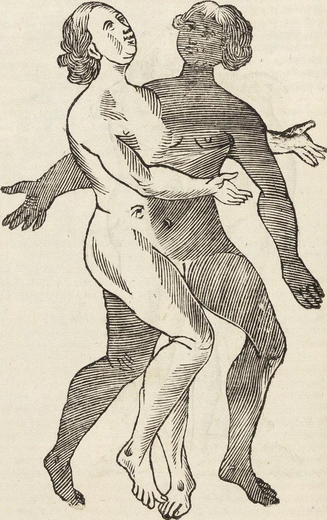 An illustration from Vlyssis Aldrovandi Patricii Bononiensis Monstrorvm Historia: cum Indice copiosissimo, 1642, leaf 654