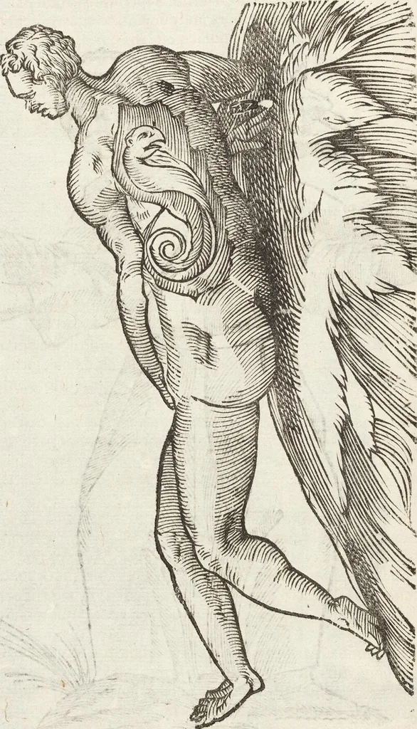 An illustration from Vlyssis Aldrovandi Patricii Bononiensis Monstrorvm Historia: cum Indice copiosissimo, 1642, leaf 672
