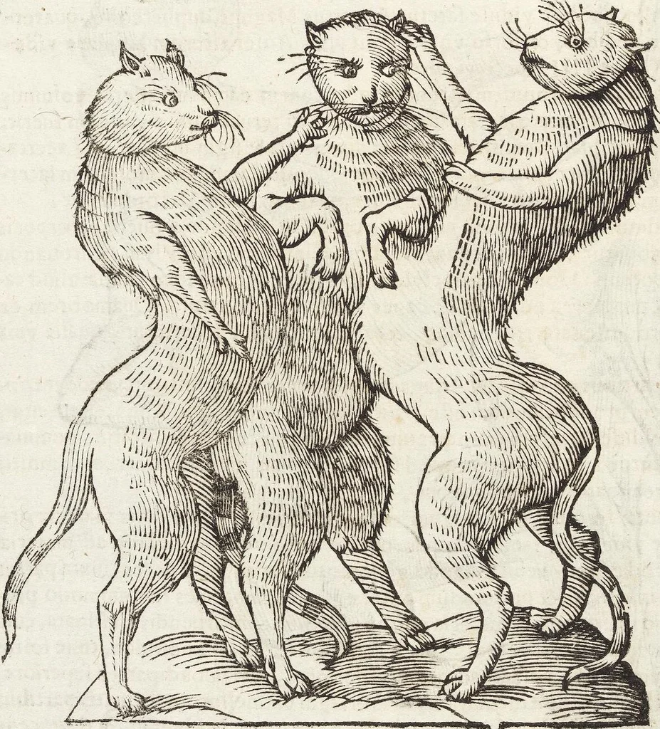 An illustration from Vlyssis Aldrovandi Patricii Bononiensis Monstrorvm Historia: cum Indice copiosissimo, 1642, leaf 676