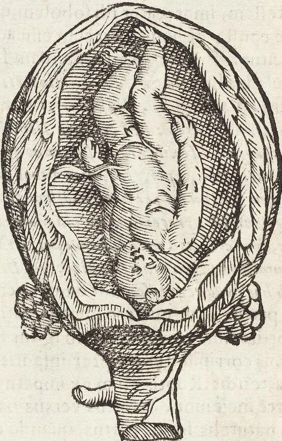 An illustration from Vlyssis Aldrovandi Patricii Bononiensis Monstrorvm Historia: cum Indice copiosissimo, 1642, leaf 72
