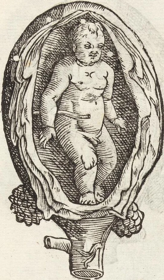 An illustration from Vlyssis Aldrovandi Patricii Bononiensis Monstrorvm Historia: cum Indice copiosissimo, 1642, leaf 73
