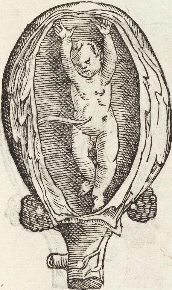 An illustration from Vlyssis Aldrovandi Patricii Bononiensis Monstrorvm Historia: cum Indice copiosissimo, 1642, leaf 73