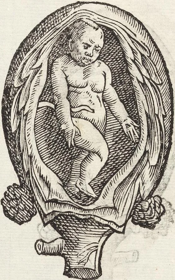 An illustration from Vlyssis Aldrovandi Patricii Bononiensis Monstrorvm Historia: cum Indice copiosissimo, 1642, leaf 74